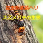 黄色の爆撃機～オオスズメバチやキイロスズメバチの生態と予防策を紹介